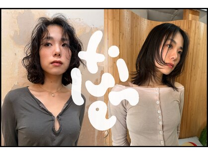 フィリュヌ(filune)の写真