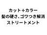 【高取 涼】カット+カラー+髪のゴワつきや硬さ解消ストリートメント ¥13000