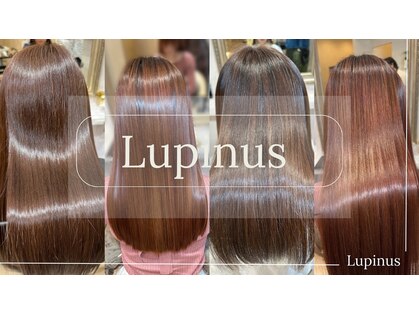 ルピナス(Lupinus)の写真
