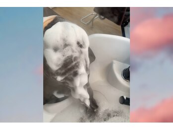 髪質改善 個室美容室 calm 新田 美容院【カルム】