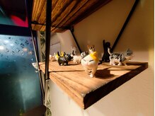 キャットテイル(Cat Tail)の雰囲気（猫をコンセプトにした店内(=^_^=)）