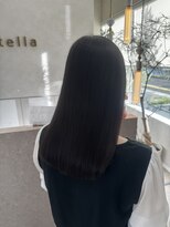 ステラ(Stella) ナチュラルオリーブカラー