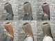 レヴール サロン ルート(reveul salon route)の写真/抜群の色モチと透け感カラー◎トレンドを取り入れたこだわりのカラーで、季節に合わせてスタイルチェンジ*