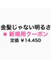 【新規】ハーフブリーチ ( 金髪じゃない明るさ )         