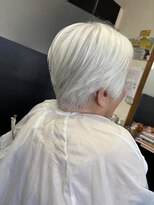 ロージピノ(Rosy Pino)&nbsp;シルバーヘア