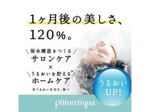 【厳選トリートメント1】ピトレティカ2
