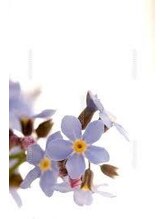 メゾン ド ボーテ(Maison de Beaute)&nbsp;宮城 