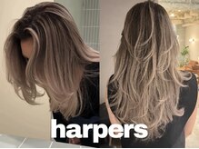 ハーパーズ 渋谷(harpers)