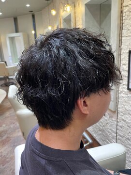 ヴィサージュプラス(VISAGE plus) 波巻きスパイラルパーマ