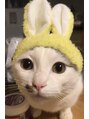 オーブ ヘアー アンリ 梅田店(AUBE HAIR unli) 愛猫の琥太郎