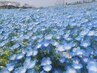 【ご新規様】カット & カラー(リタッチ) & ケアヘッドスパ20分