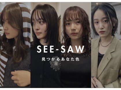 シーソー(SEE-SAW)の写真
