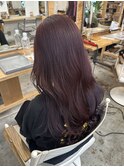 ワインレッドカラー+カット+TR【13800円】