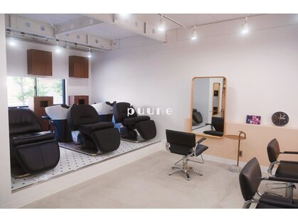 プーネ(puune)の写真