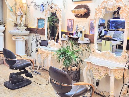 ヴォルケーノの写真