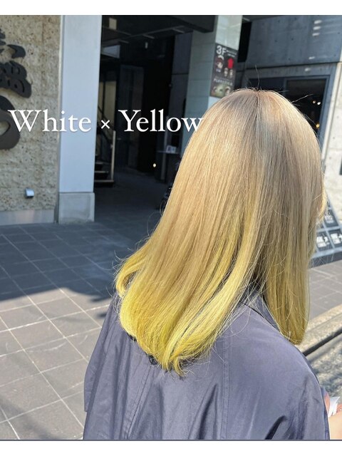 ●WhiteBeige×Yellow