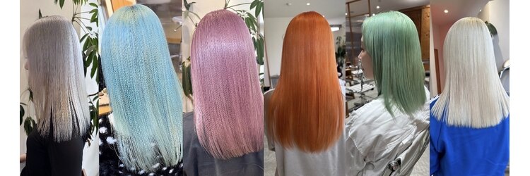 ソル(SOL)のサロンヘッダー