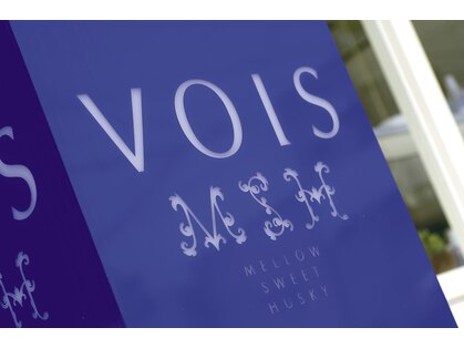 ヴォイス(VOIS)の写真