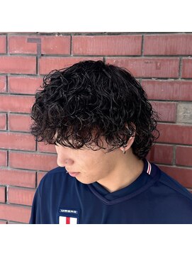 ランディ(RANDY) メンズ サーフカール スパイラル 【RANDY】