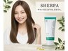 人気No5 最上級ハイスペック縮毛矯正ストレート＋極上プレミアトリートメント