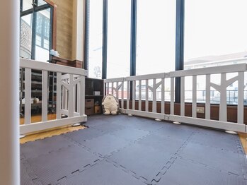 ヘア ショップキャリーの写真/【豊橋】キッズスペース有〇お子様連れも気兼ねなく通える!”もっとキレイになりたい”ママさんを後押し♪