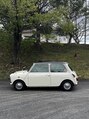 フェイバリットガーデン(favorite garden) ローバーミニの世界に取り憑かれています(^ν^)