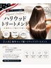 【LA直輸入】海外セレブ級ハリウッドトリートメント ￥11850