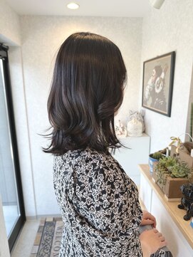 コスモス(cosmos) ヴァイオレット ブラック