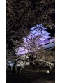 コージーサロン(Cozy Salon)&nbsp;鶴ヶ城の夜桜