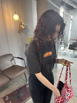 タタ(tata) プードルパーマくるくる