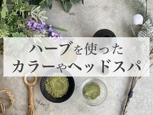ハーブカラーやハーブアロマヘッドスパは、天然成分100%のパウダー配合した、泥パックみたいなクリーム