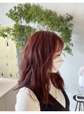 【RECIEL伊勢 岩佐】ディープレッド