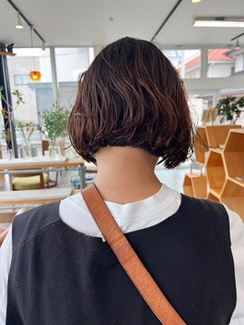 パーム スプリングス(Palm Springs) Hair by Palm Springs 846