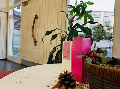 マルベリー(MULBERRY)の写真