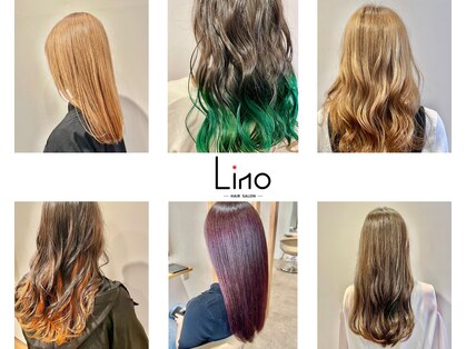 リノ(Lino)の写真