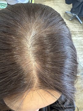 ヴィオラプロ(violla pro) 白髪ぼかしカラー