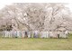 シキ ローズ 表参道(siki ROSE)の写真
