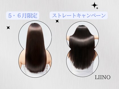 リーノ(Liino)の写真