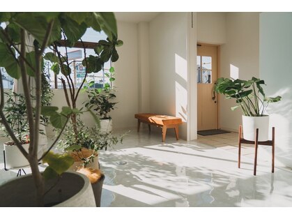 サイクル(CYCLE)の写真