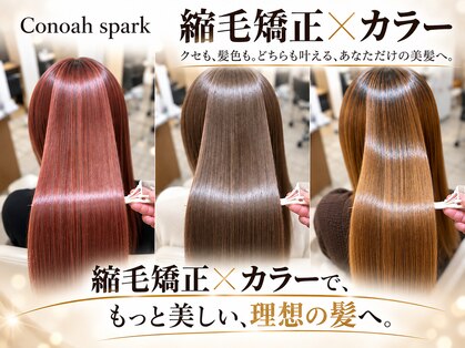 コノア スパーク(Conoah spark)の写真