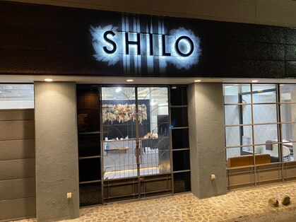 シロ(SHILO)の写真