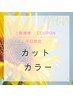 【平日限定】カット＆カラー　￥6,000
