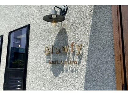 ブローフィー(Blowfy)の写真