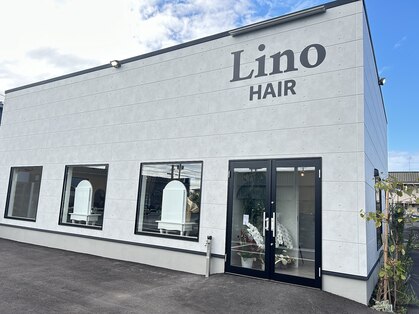 リノ ヘア(Lino hair)の写真