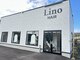 リノ ヘア(Lino hair)の写真