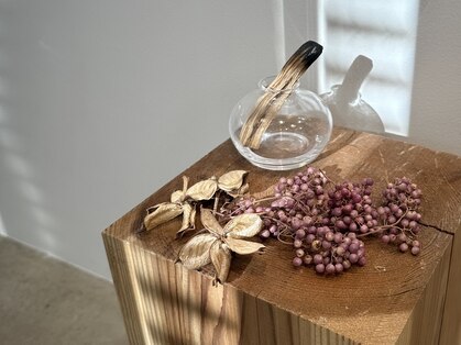 ノーマン(norman)の写真