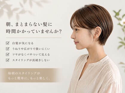 ヨール(YOL)の写真