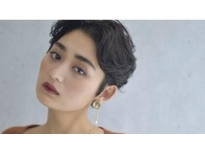 グルー(glue)の写真