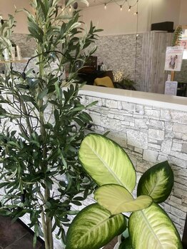 美容室りんごの写真/【一宮市/2席のみ】おしゃれカラーや大人ボブヘアが得意なサロン♪落ち着いた空間で特別な時間をー。