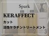 【KERAFFECT】 カット+活性ケラチンTr